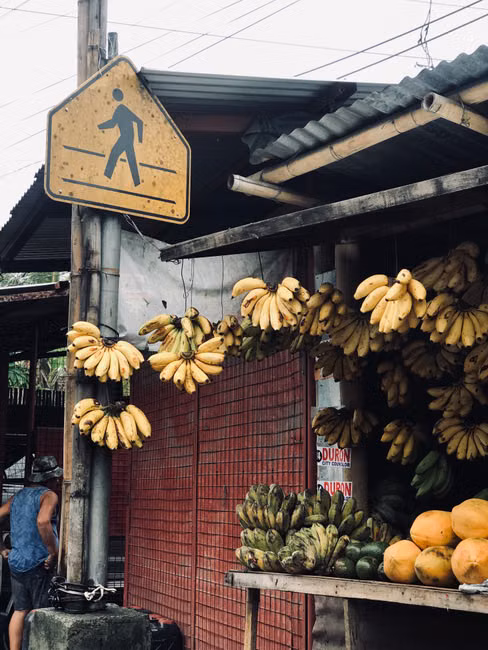 Destaques em Hortifruti
